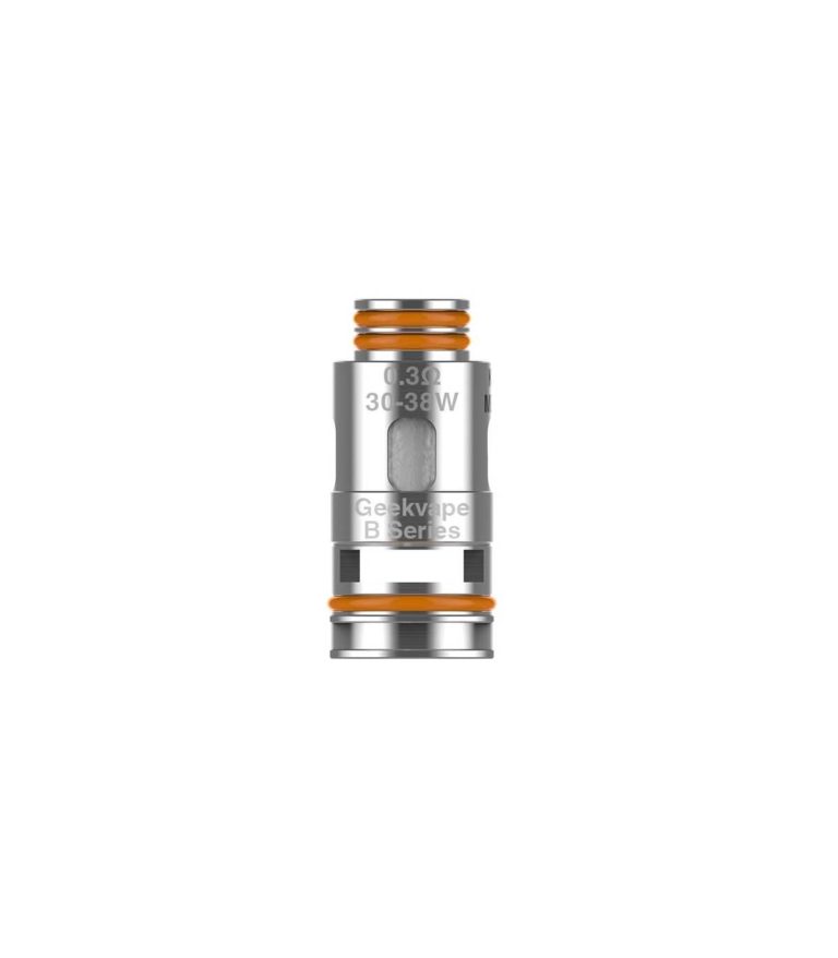 geekvape-b-coils GEEKVAPE B series Coil 0.3ohm - 30W - 38W
