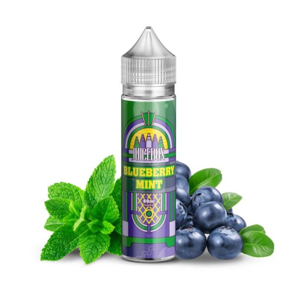 Blueberry Mint 60ml Juicebox Palette FLAVOR SHOTS