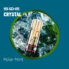 0019178_ske-crystal-plus-pod-polar-mint-20mg-2ml_1000 SKE Crystal Plus Pod Polar Mint 20mg 2ml