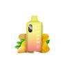 elfbar-eb10000-refillable-device-triple-mango-2ml-20mg (1) Elfbar EB10000 Refillable Device Triple Mango 2ml 20mg